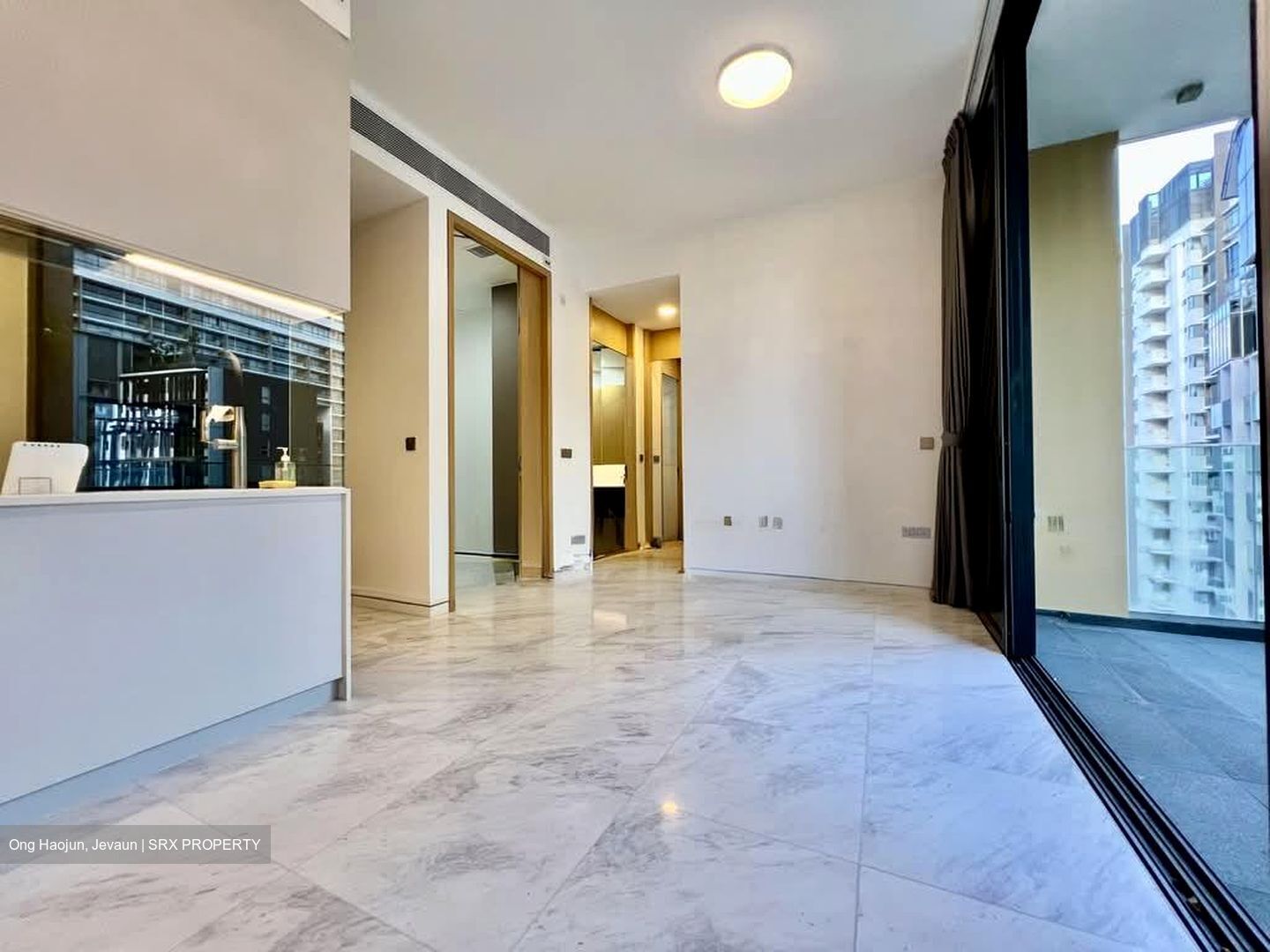 Scotts Road (D9), Condominium #565598441